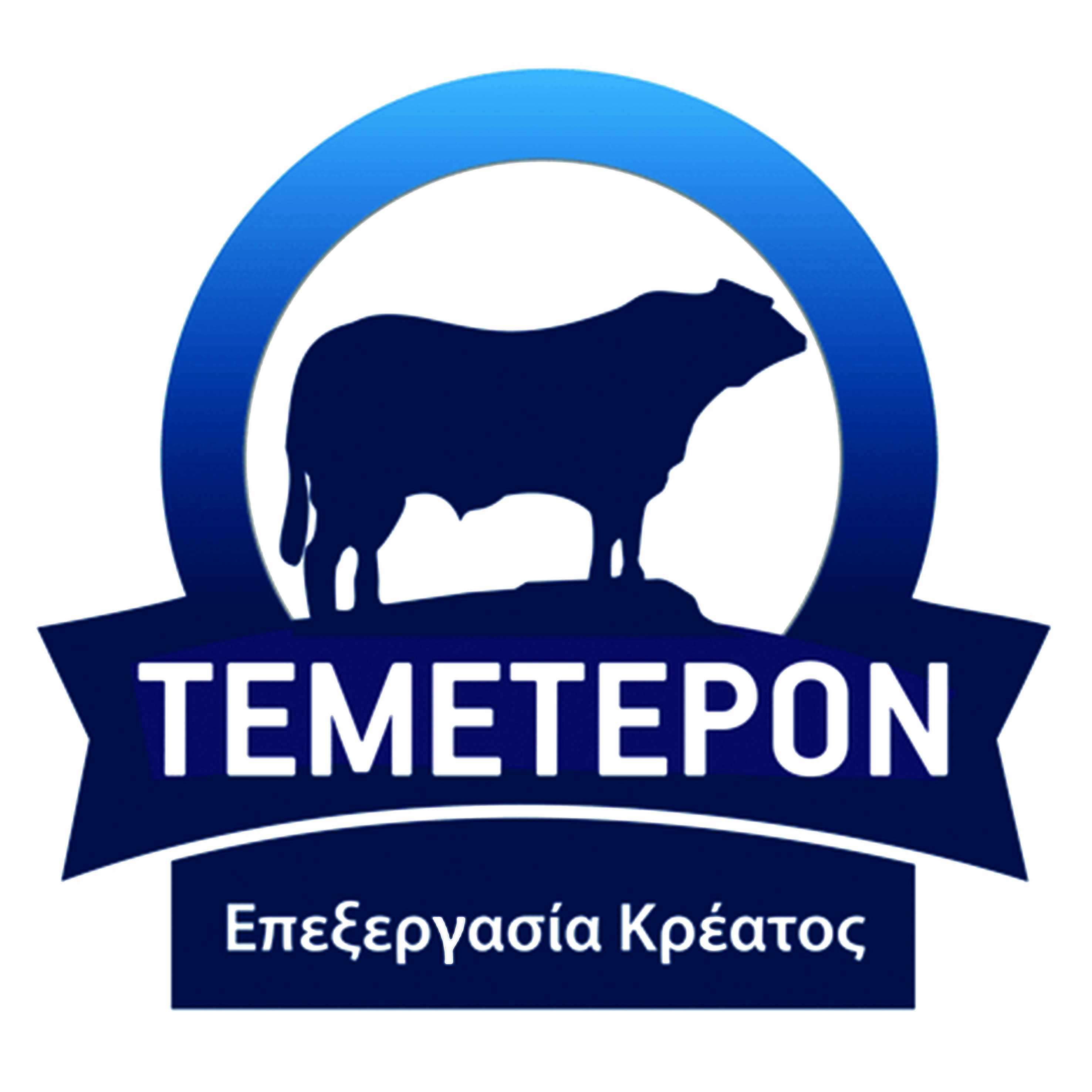 ΤΕΜΕΤΕΡΟΝ ΑΕ