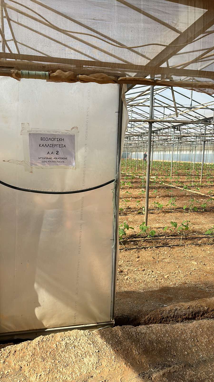 Ντισπυράκη Κατερίνα – Θερμοκηπιακές Καλλιέργειες